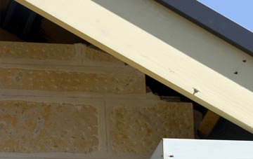 soffit repair Wigbeth